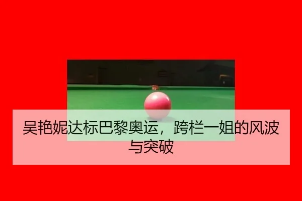 wu-yan-ni-da-biao-ba-li-ao-yun-kua-lan-yi-jie-de-feng-bo-yu-tu-po-2-765.jpg